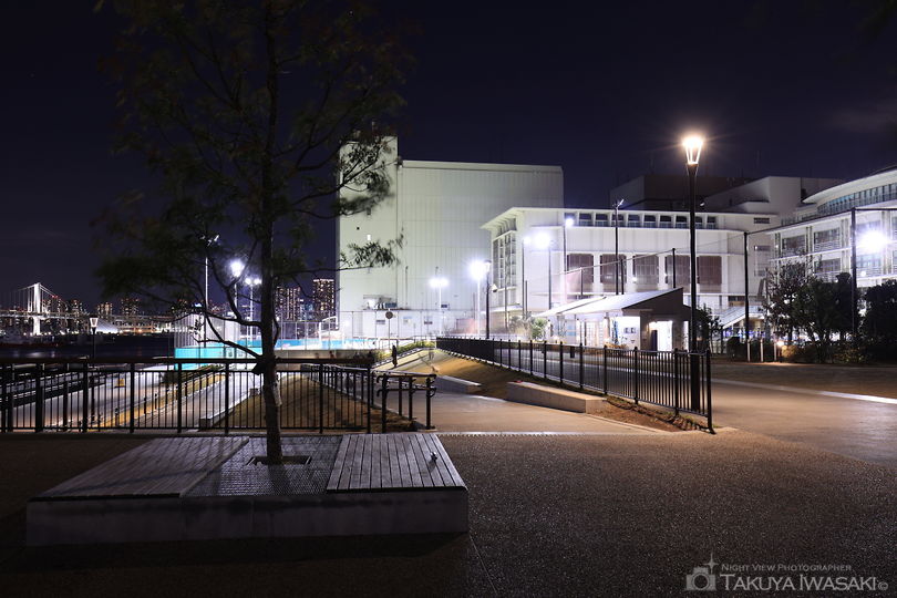 豊海運動公園の夜景スポット写真（6）
