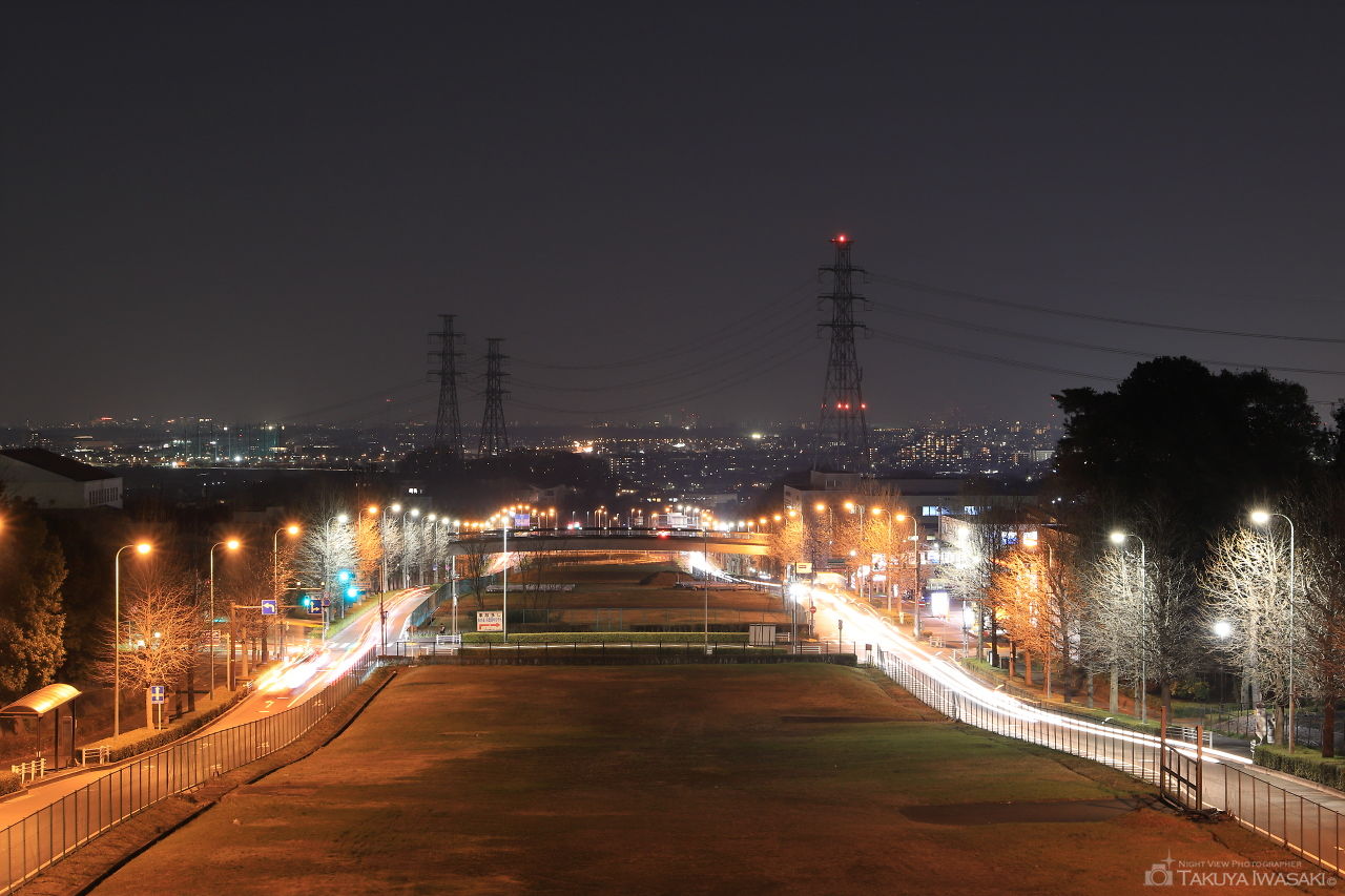 くじら橋の夜景スポット写真（2）