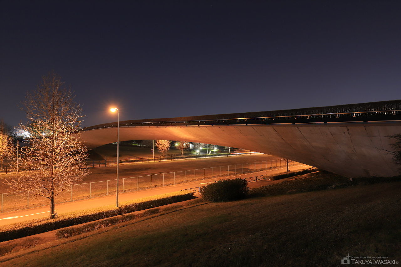 くじら橋の夜景スポット写真（5）
