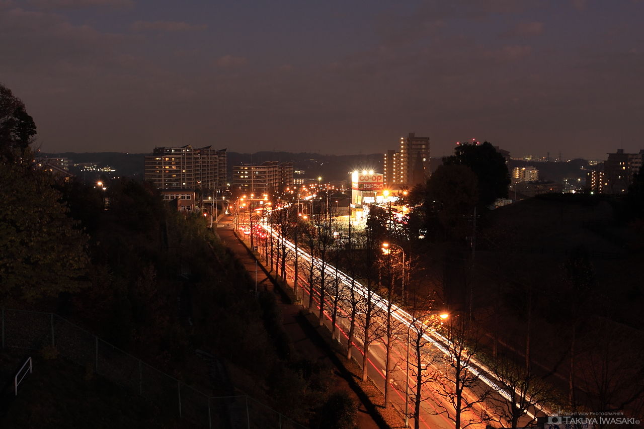 天王橋の夜景スポット写真（2）