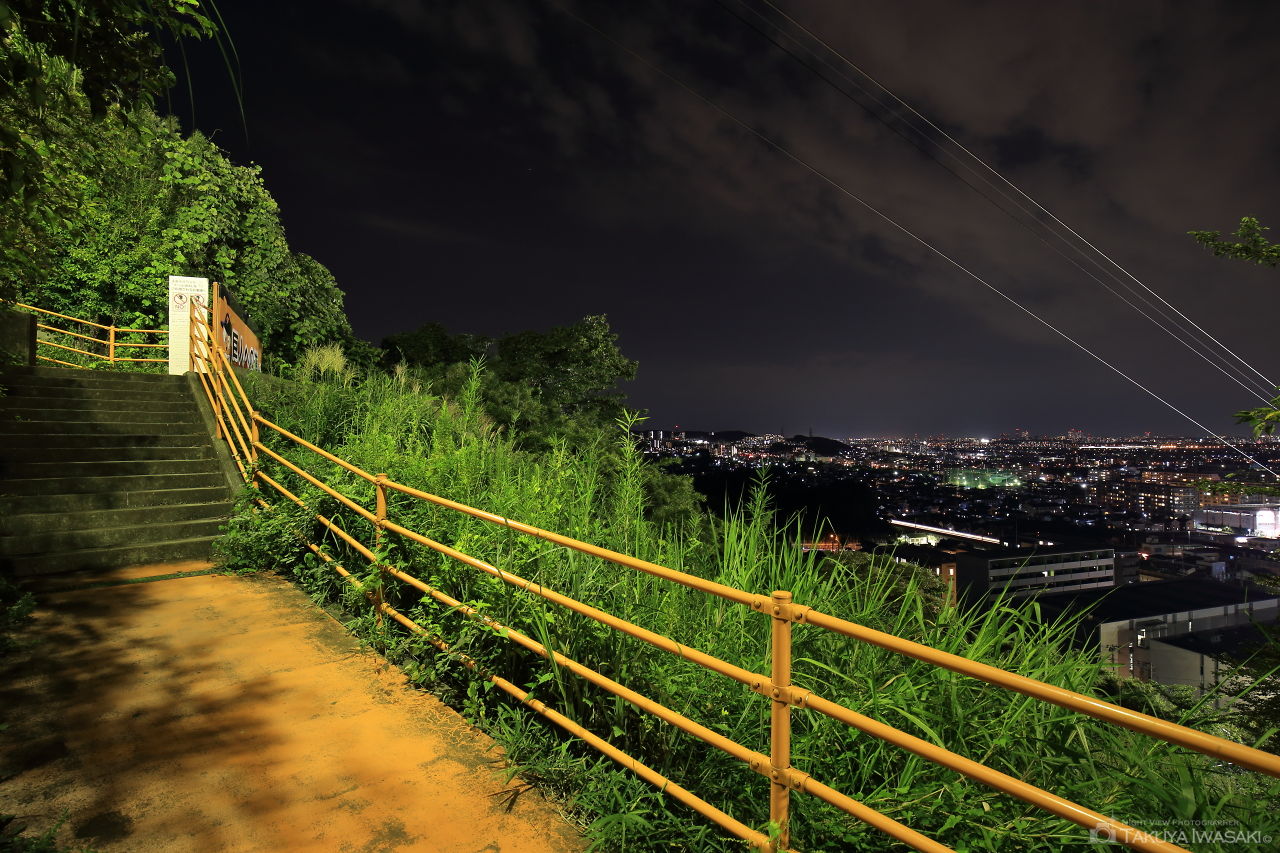 巨人への道の夜景スポット写真（4）