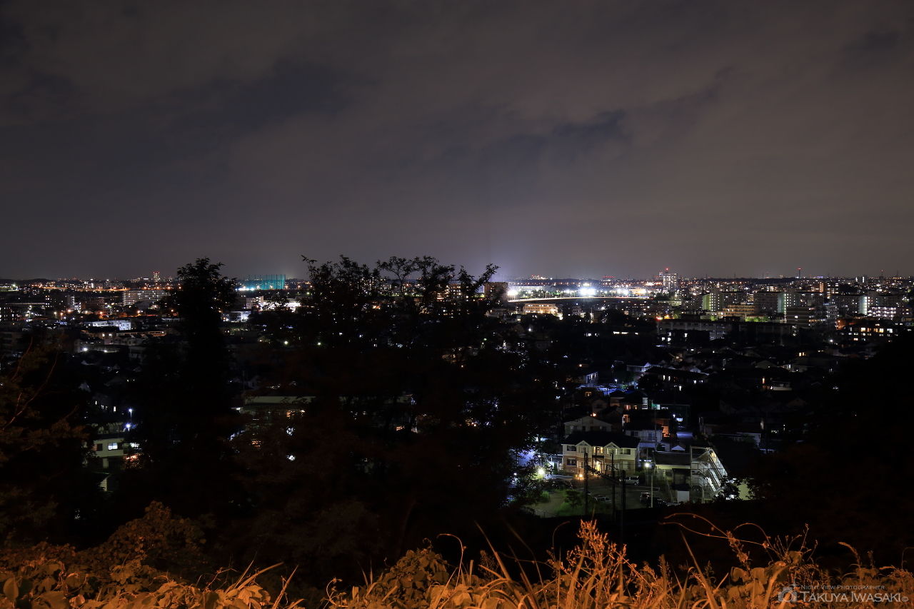 よみうりV通りの夜景スポット写真（1）
