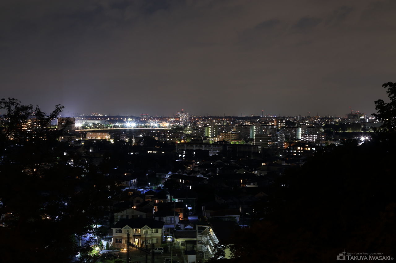 よみうりV通りの夜景スポット写真（2）