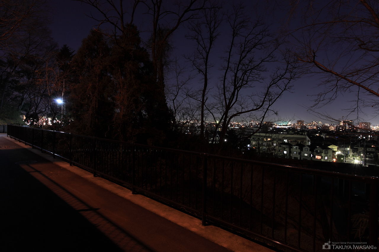 穴澤天神社 参道入口付近の夜景スポット写真（2）