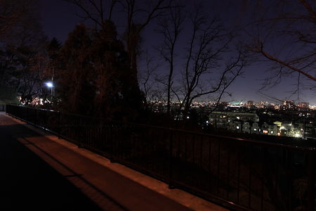 穴澤天神社 参道入口付近の夜景スポット写真（2）class=