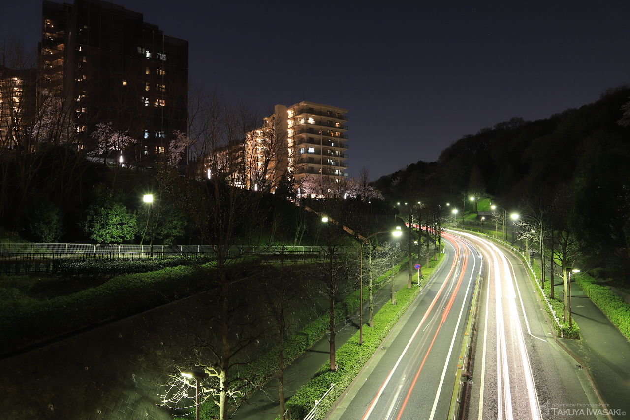 城山橋の夜景スポット写真（3）
