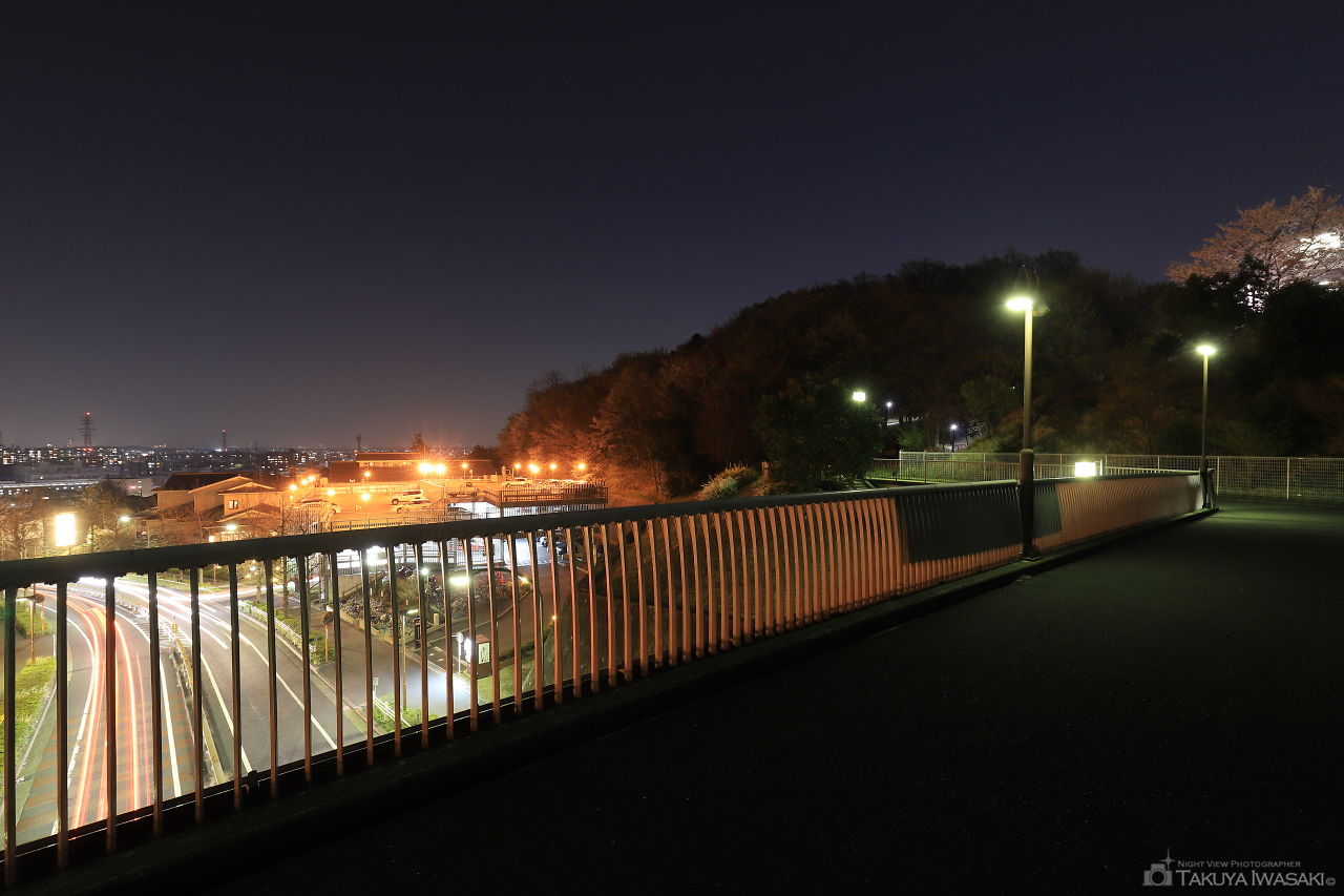 城山橋の夜景スポット写真（4）