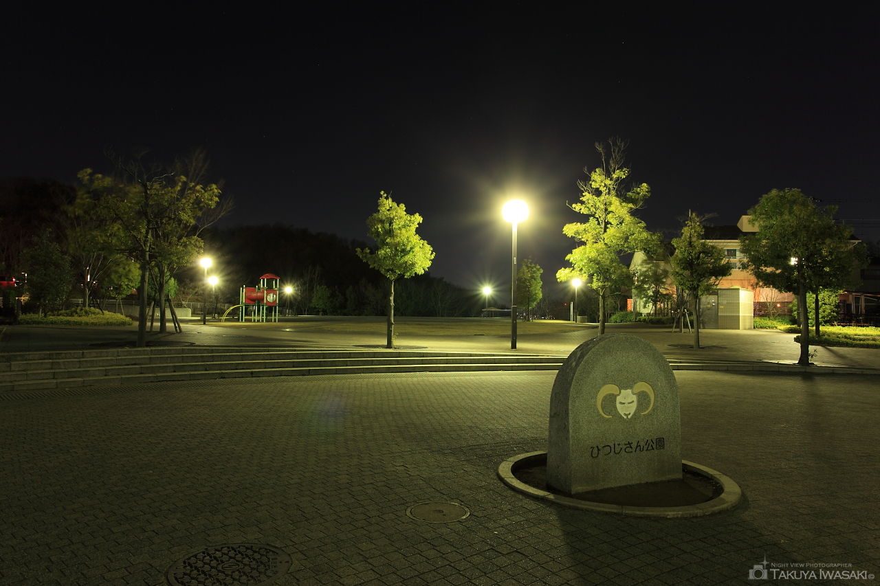ひつじさん公園の夜景スポット写真（4）
