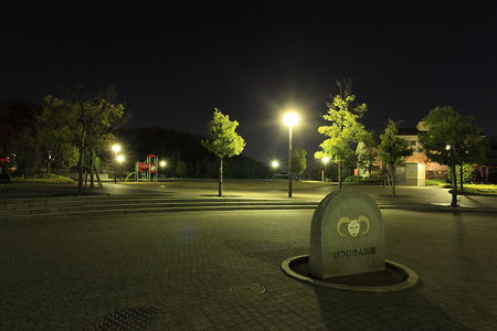 ひつじさん公園の夜景スポット写真（4）class=