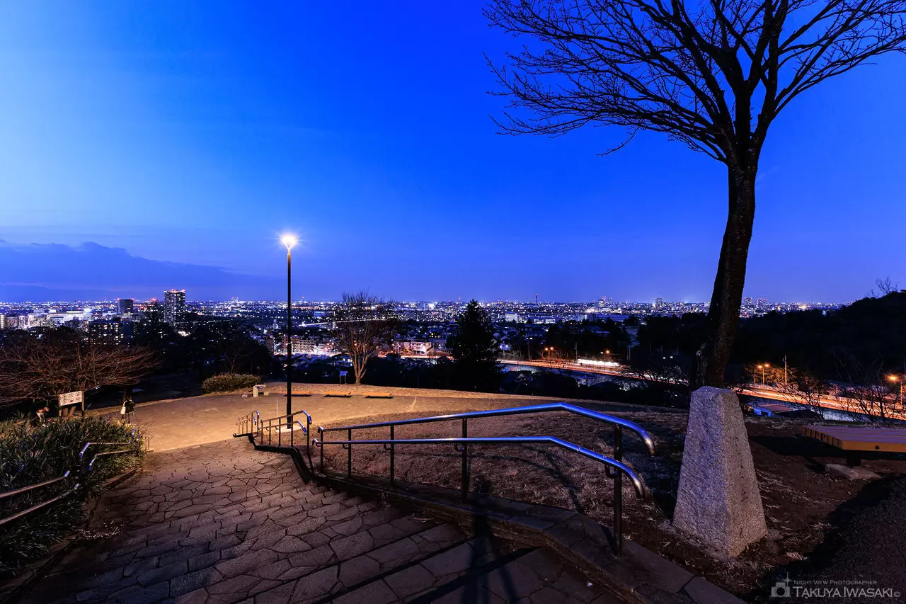 都立桜ヶ丘公園 ゆうひの丘の夜景（東京都多摩市）