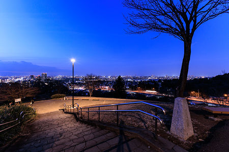 都立桜ヶ丘公園 ゆうひの丘の夜景スポット写真（2）class=