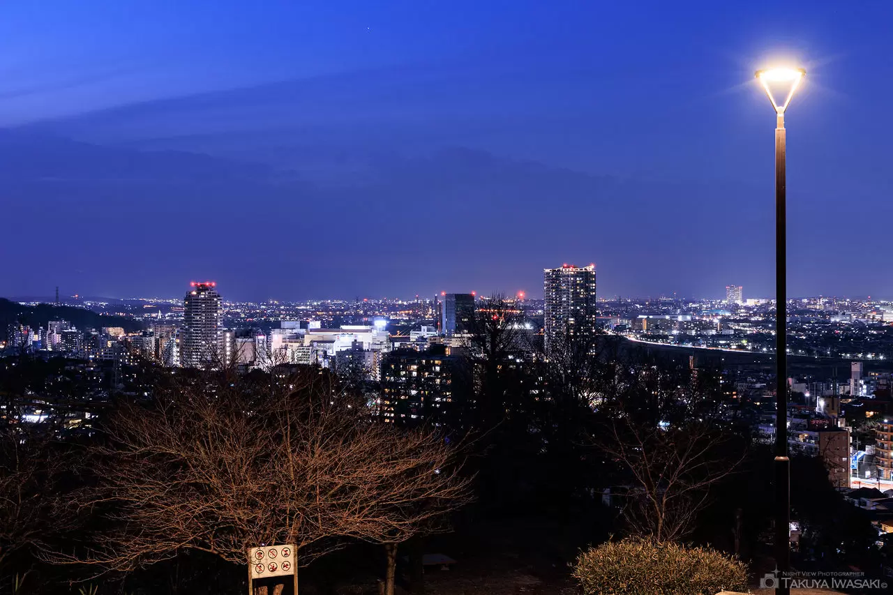 都立桜ヶ丘公園 ゆうひの丘の夜景（東京都多摩市）