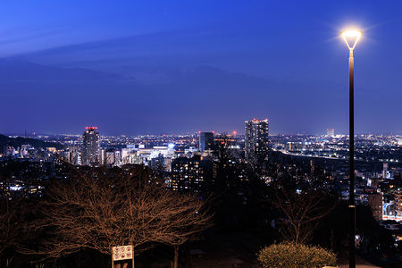 都立桜ヶ丘公園 ゆうひの丘の夜景スポット写真（3）class=