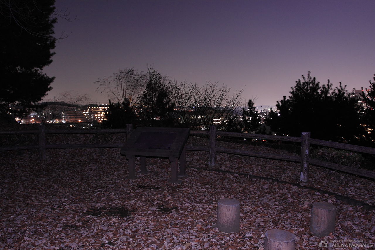 からきだの道 見晴らし広場の夜景スポット写真（5）
