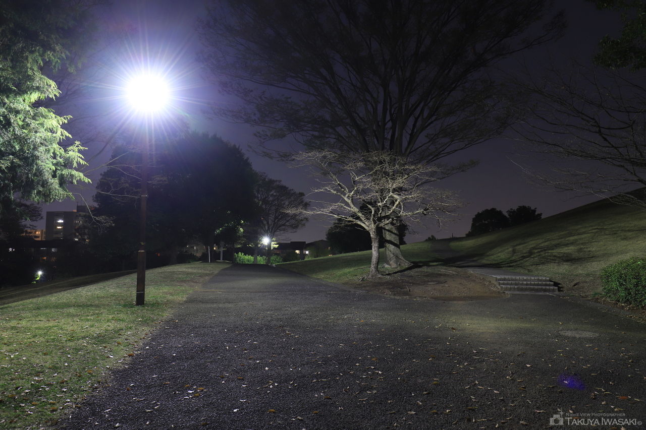 鶴牧東公園の夜景スポット写真（4）