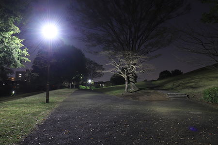 鶴牧東公園の夜景スポット写真（4）class=