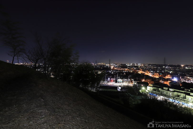おくやま公園の夜景スポット写真（4）