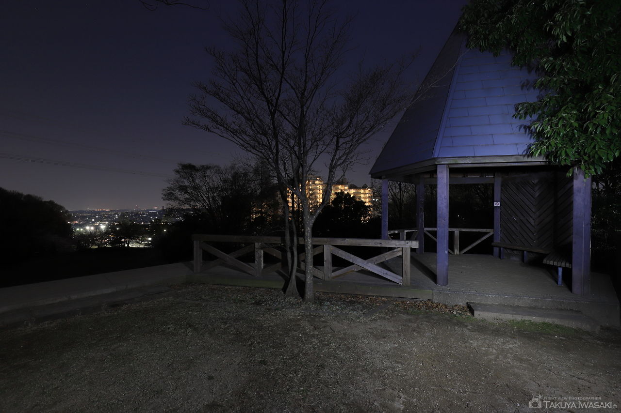 真光寺公園の夜景スポット写真（2）