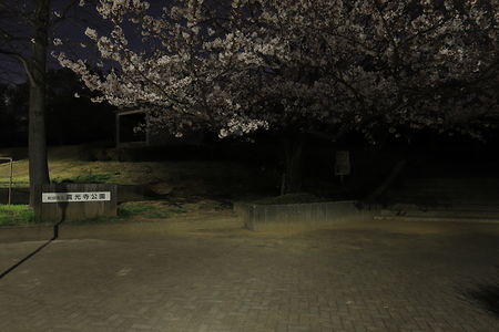 真光寺公園の夜景スポット写真（3）class=