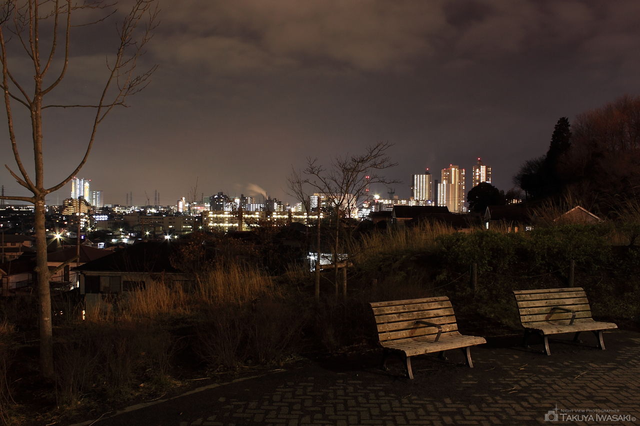 小山小鳩公園の夜景スポット写真（4）