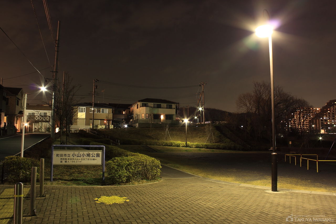 小山小鳩公園の夜景スポット写真（5）