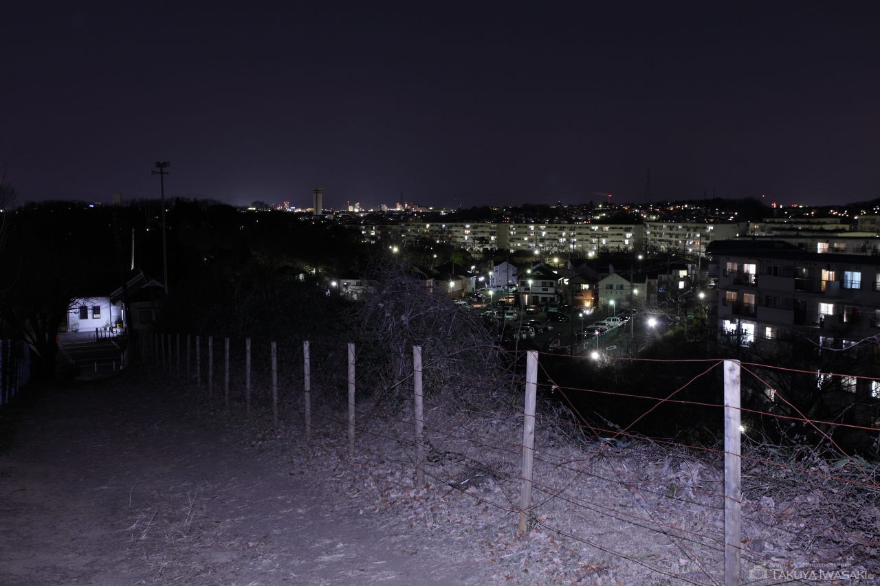 藤の台団地裏の夜景スポット写真（3）