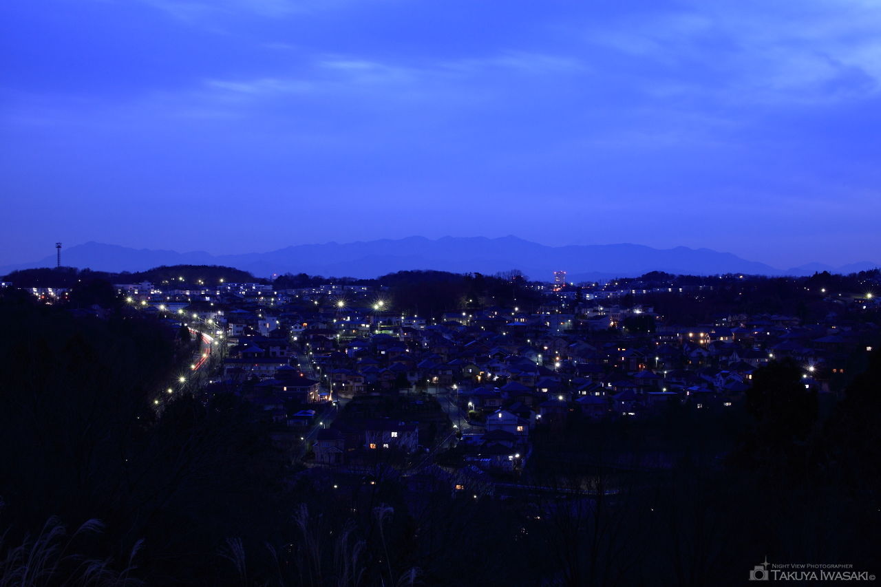 小山田緑地 見晴らし広場の夜景スポット写真（1）