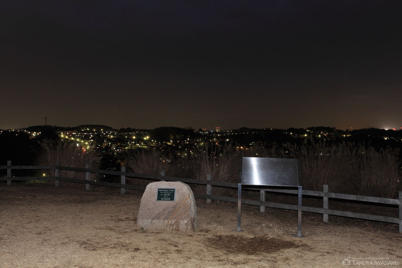 小山田緑地 見晴らし広場の夜景スポット写真（2）