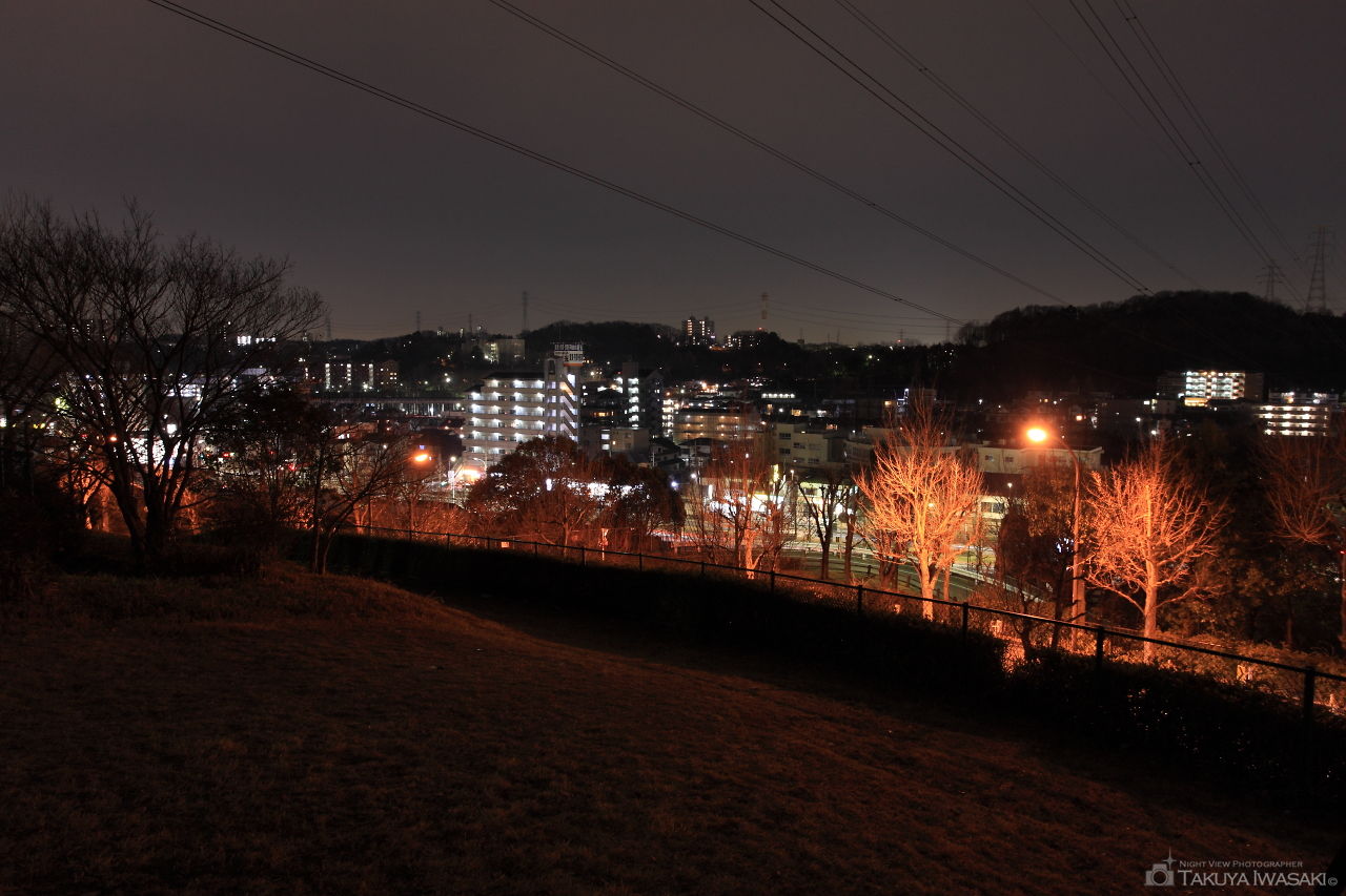 愛宕東公園の夜景スポット写真（1）