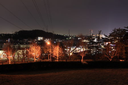 多摩ニュータウン方面の夜景と公園内の雰囲気