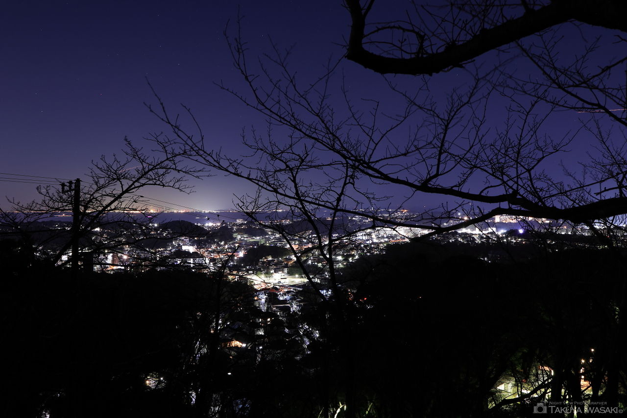 衣笠山公園の夜景スポット写真（5）