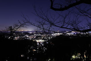 衣笠山公園の夜景スポット写真（5）class=
