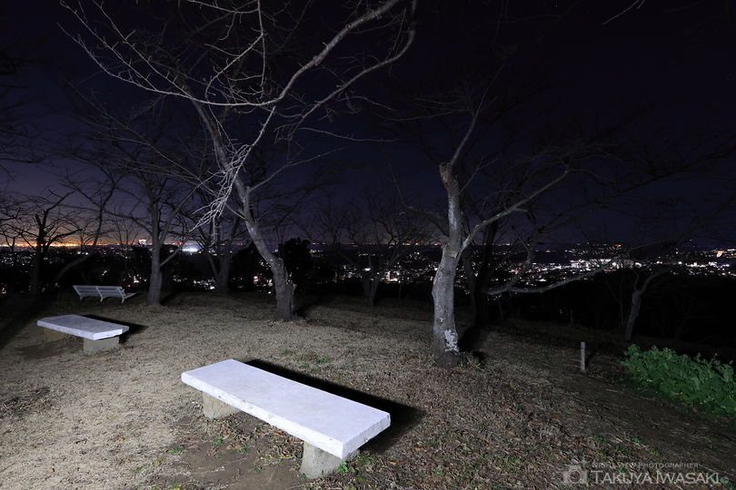 衣笠山公園の夜景スポット写真（6）