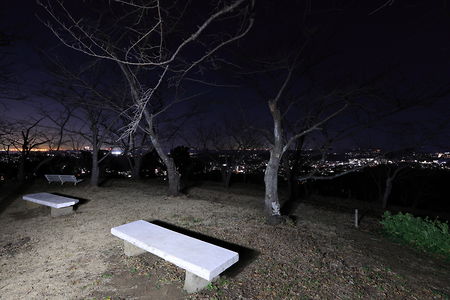 衣笠山公園の夜景スポット写真（6）class=