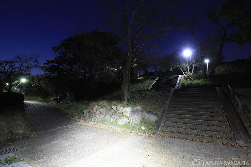 湘南国際村の夜景スポット写真（3）