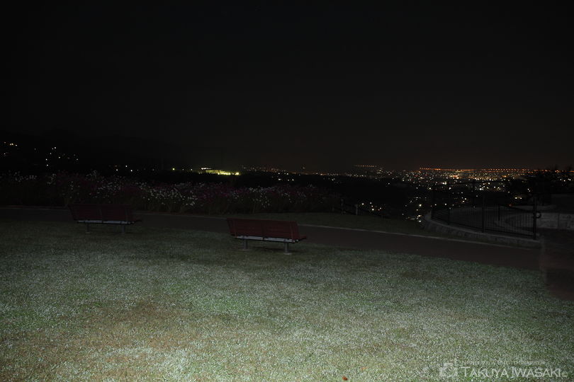 おだわら諏訪の原公園の夜景スポット写真（3）