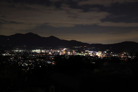 震生湖の夜景スポット写真（1）class=