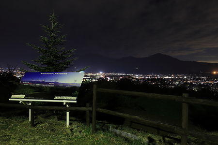 震生湖の夜景スポット写真（4）class=