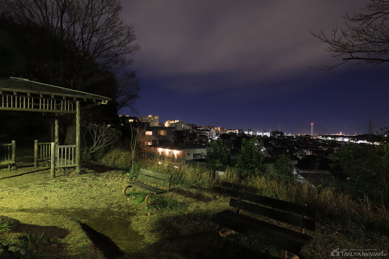 弘法松公園の夜景スポット写真（4）