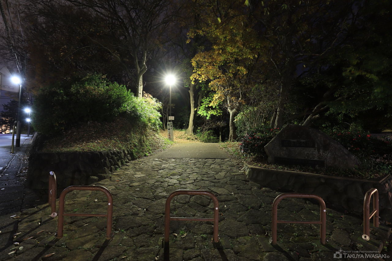 弘法松公園の夜景スポット写真（5）