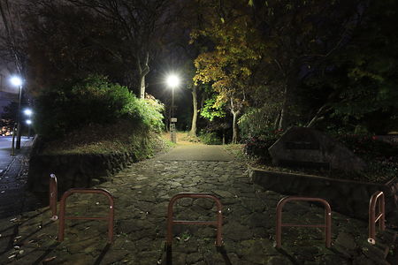 弘法松公園の夜景スポット写真（5）class=