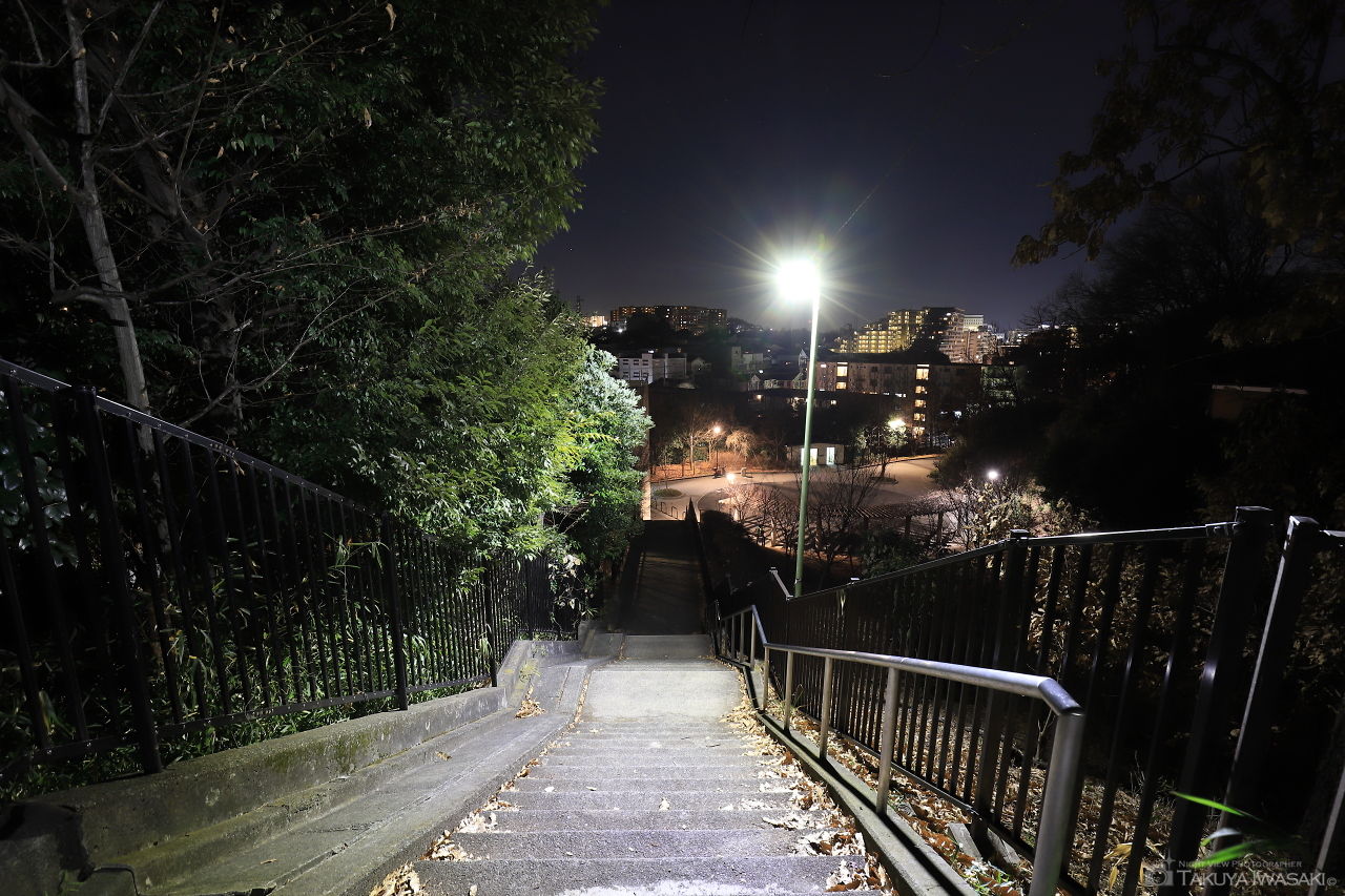 万福寺さとやま公園の夜景スポット写真（2）