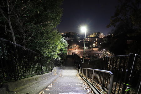 万福寺さとやま公園の夜景スポット写真（2）class=