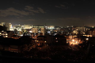 古沢こもれびの杜緑地の夜景スポット写真（1）class=