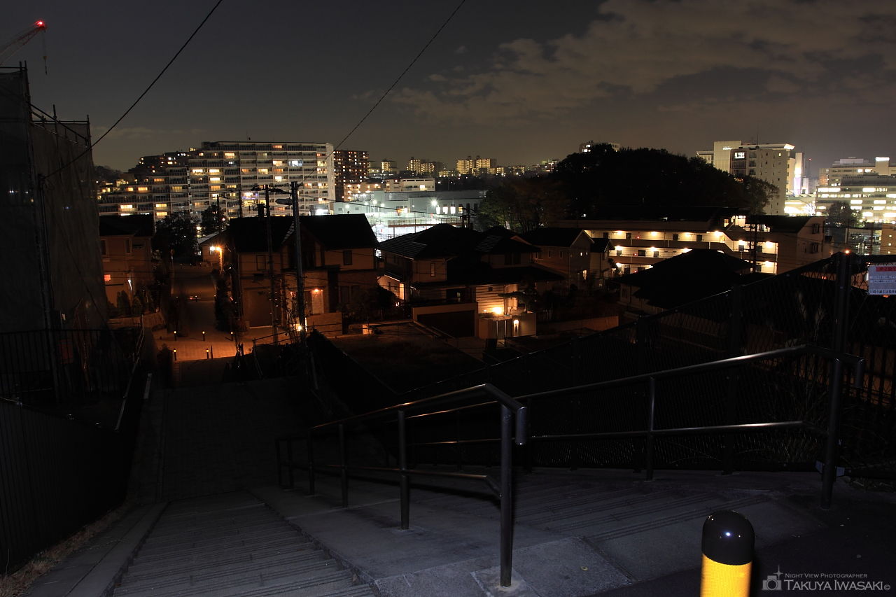 古沢こもれびの杜緑地の夜景スポット写真（2）