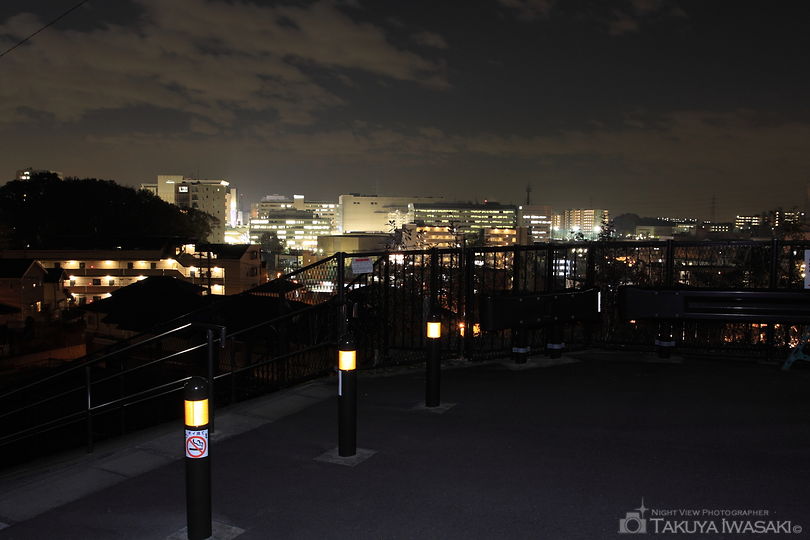 古沢こもれびの杜緑地の夜景スポット写真（3）