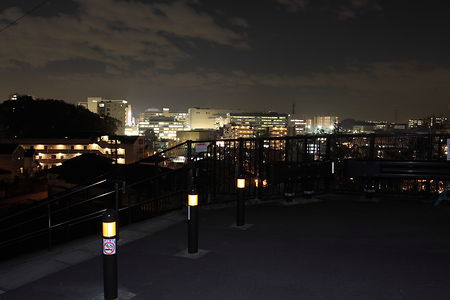 古沢こもれびの杜緑地の夜景スポット写真（3）class=