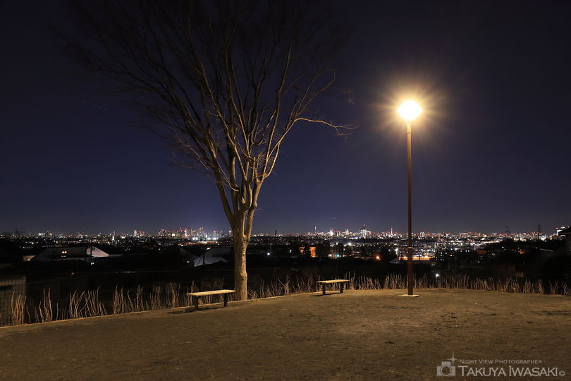 長尾宮前公園の夜景スポット写真（4）
