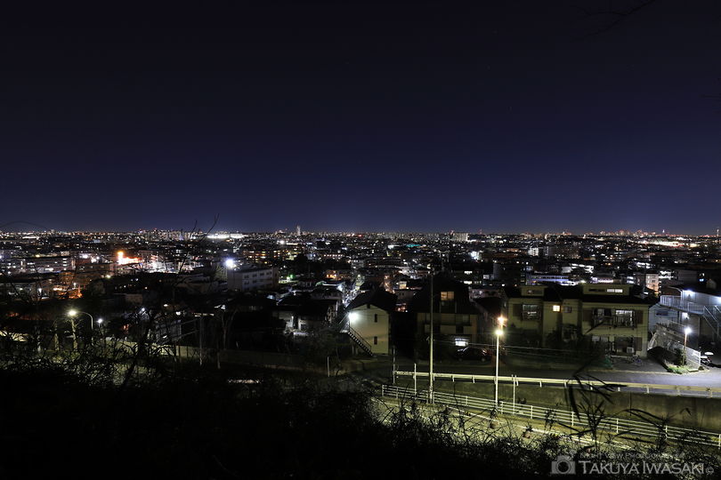 東生田緑地の夜景スポット写真（1）