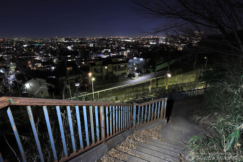東生田緑地の夜景スポット写真（4）